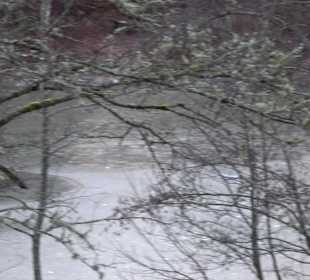 Ochsenweiher Rundweg