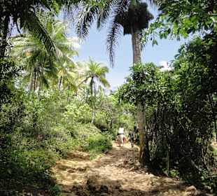 Auf dem Weg zum Wasserfall