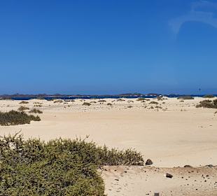 Strand Corralejo