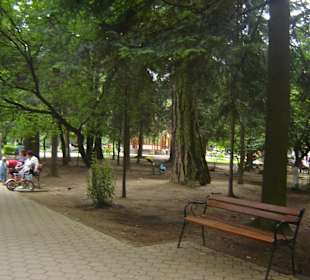 Parcul Central Vatra Dornei