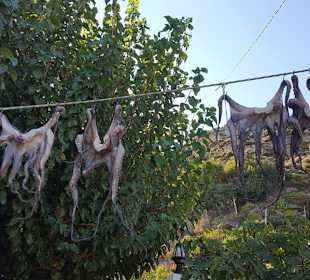 Spaziergang am Strand