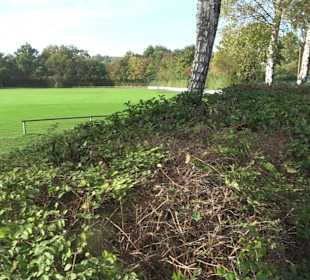 Sportgelände Aileswasen