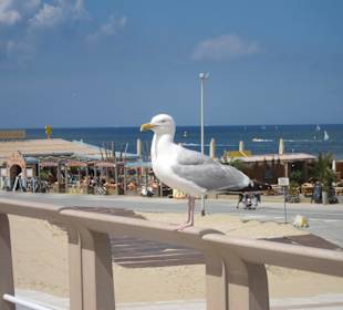 Scheveningen Strand