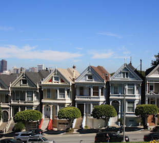 Painted Ladies