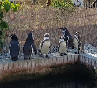 Tiererlebnispark Müritz