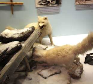 Polarmuseum Tromsø