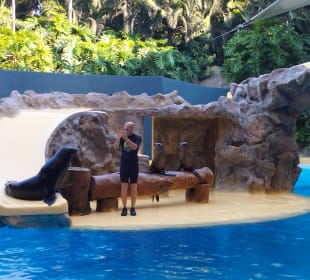 Loro Parque