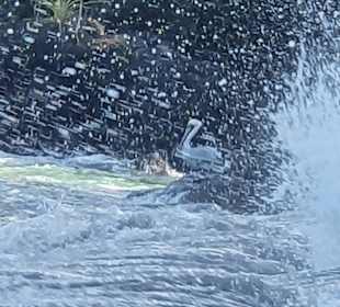 Strand Playa Espadilla