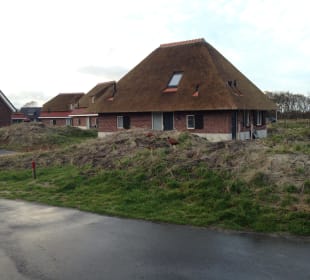 Haus