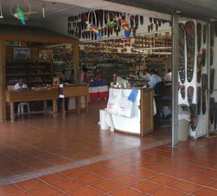 Truck Safarie mit RH.