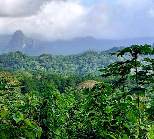Parque Natural Obô do Príncipe