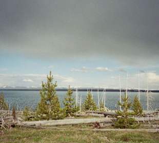 Yellowstone See