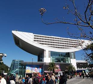 Aussichtsplattform auf den Peaks