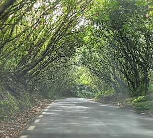 Geführte Touren Andrea Rodrige