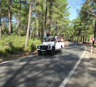 Beginn der Jeep Safari