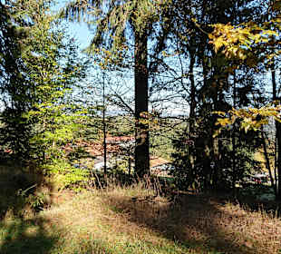 Wandern Mitterfirmiansreut