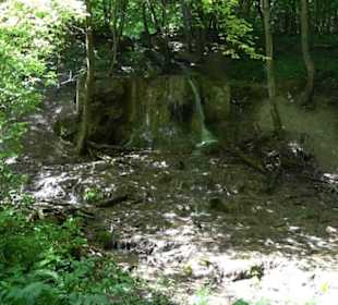 Wiesaztal Gönningen