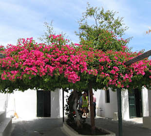 Öffentliche WC-Anlage