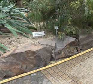 Tropicarium - Trockentropen