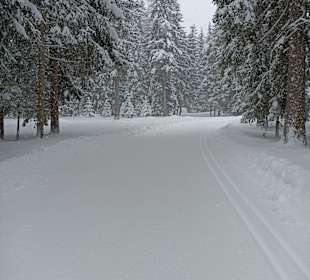 Wandern Rein in Taufers