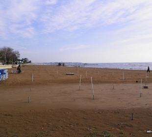 Corolla und Grand Side Strand (beide Ilicagrund)