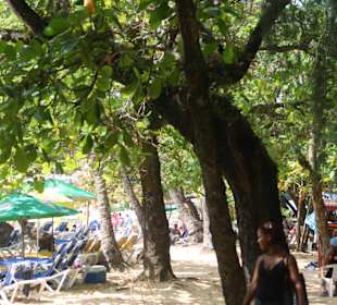 Ostern am Sosua Beach
