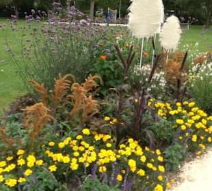 Blühendes Neresheim