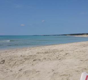 Strand in Son Bou, ca. 30 km entfernt