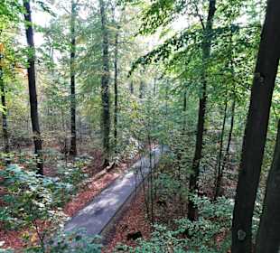 Impressionen vom Baumwipfelpfad Bad Iburg