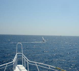 Friedlich.. Meer