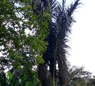 Ausblick von der Terrasse