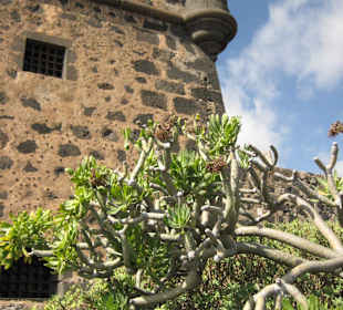 Castillo de San José - Ansicht