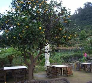 Tea House Quinta do Arco