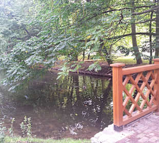 Palmiarnia Park Oliwski