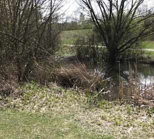 Sport- und Freizeitpark Markwasen