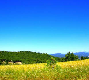 Green Canyon vom Staudamm nach Side