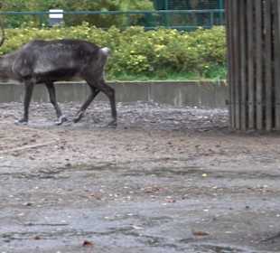 Tierpark 