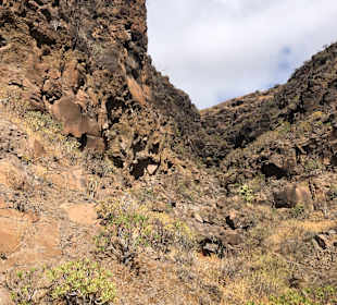 Stadtrundgang Playa del Ingles