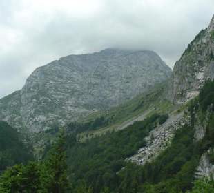 Plöckenpass