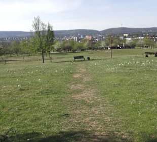 Gartenschau