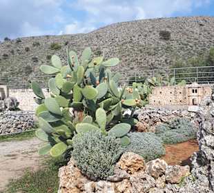 Inselrundfahrt Kreta