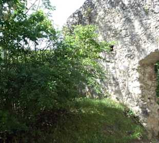 Burgruine Niederhaus