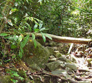 Über Stock und Stein