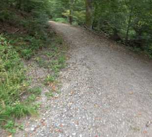 Altwege Rundwanderung Bebenhausen