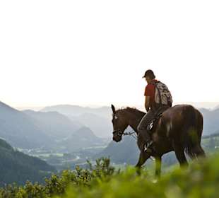 Reiten im Nationalpark Kalkalpen