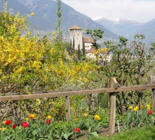 Blick vom Haidenhof auf Schloß Lebenberg