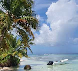 Isla Saona