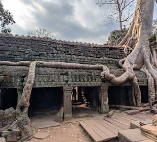 Tempel mit Bäumen 