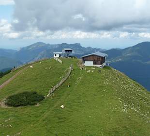 Steinplatte ganz oben
