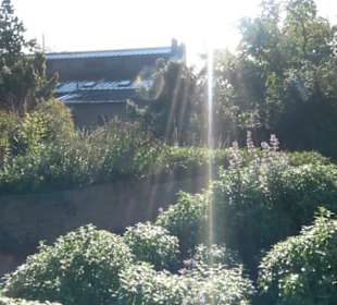 Botanischer Garten